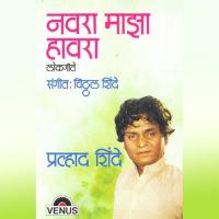 Raja Ranich Lagin Prahlad Shinde Song Download Mp3