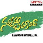Navvuthu Bathakalira songs mp3