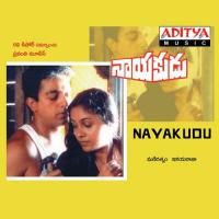 Na Navve Deepavali S.P. Balasubrahmanyam Song Download Mp3