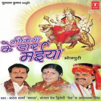 Pauwaan Mein Tohre Paijaniyan Aradhana Singh Song Download Mp3