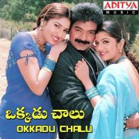 Okkadu Chaalu Koti Song Download Mp3