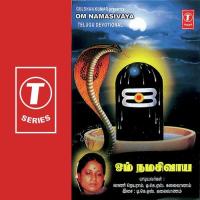 Om Namasivaya songs mp3