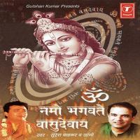 Om Namo Bhagwate Vasudevaye ( Dhuni) Suresh Wadkar Song Download Mp3