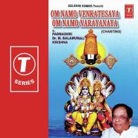 Om Namo Venkatesaya Om Namo Narayana songs mp3