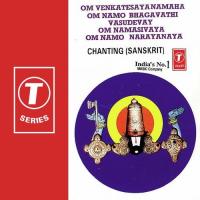 Om Venkatesayanamaha -108, Om Namo Bhagavathi Vasudevaya - 108, Om Namasivaya - 108, Om Namo Narayanaya Vishal Bhardwaj Song Download Mp3