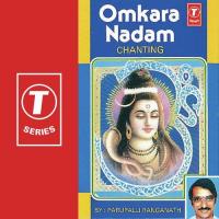 Om Namahsivaya Parupalli Ranganath Song Download Mp3
