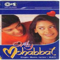 Dil Bole Yaara Yaara (Robo Grove Mix) Amir Song Download Mp3