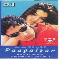 A Ding - Dand - Do Sunidhi Chauhan,Udit Narayan Song Download Mp3