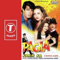 Pagla Kahin Ka songs mp3