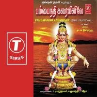 Pambainadhi Karaiyinile songs mp3