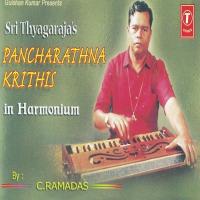 Pancharathna Krithis In Harmonium songs mp3
