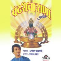 Pandharicha Raja Ajit Kadkade Song Download Mp3
