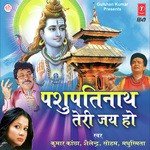 Pashupatinath Teri Jai Ho songs mp3