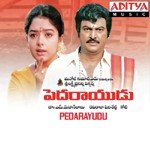 Pedarayudu songs mp3