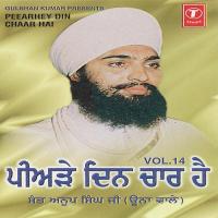 Peearhey Din Chaar Hai (Vol. 14) songs mp3