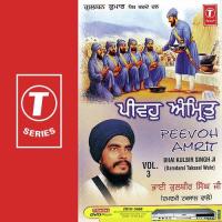 Peevoh Amrit (Vol. 3) songs mp3