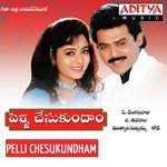 Pelli Chesukundham songs mp3