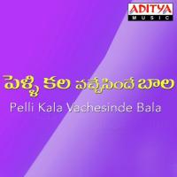 Nuvuleka Nelenu S.P. Balasubrahmanyam Song Download Mp3