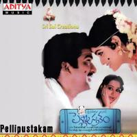 Sarikotta Chira S.P. Balasubrahmanyam Song Download Mp3