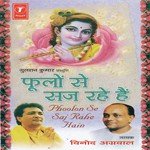 Phoolon Se Saj Rahe Hai, Dhuni Radhe Radhe Govind Radhe... Dhuni Murli Dhara Manmohan, Apna Chanda Vinod Agarwal Song Download Mp3
