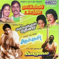 Ponnoviam Vani Jairam,S.P. Balasubrahmanyam Song Download Mp3