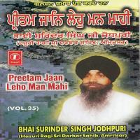 Preetam Jaan Leho Man Mahi (Vol. 35) songs mp3