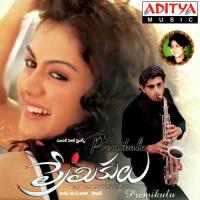 Merupai Merisina Karthik,Sujatha Mohan Song Download Mp3