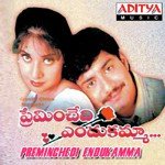 Preminchedi Endukamma songs mp3