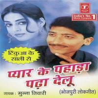 Pyar Ke Pahada Padha Delu songs mp3