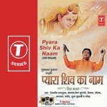 Pyara Shiv Ka Naam songs mp3