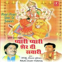 Pyari Pyari Lage Teri Sher Di Sawari Raju,Vijay Puriya Song Download Mp3
