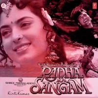Pinjara Banaya Chandni Ki Kirti Kumar Song Download Mp3