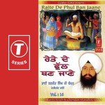 Raite De Phul Ban Jaane Bhai Ranjit Singh Chandan-Faridkot Wale Song Download Mp3
