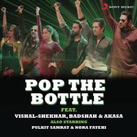 Pop The Bottle Vishal,Badshah,Vishal Dadlani,Akasa Singh,Shekhar Song Download Mp3