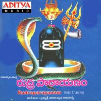 Rudra Parayanam songs mp3