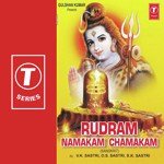 Rudram Namakam Chamakam O.S. Sastri,S.K. Shastry,V.K. Sastri Song Download Mp3