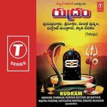 Rudram-Namakam, Chamakam, Purusha Suktham, Sri Suktam, Mantra Pushpam, Sadyojatha Mantras, Swasthi Vachakam songs mp3