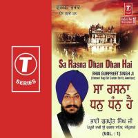 Chojee Mere Govinda Bhai Gurpreet Singh Ji Song Download Mp3