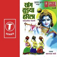 Namaskar Majah Tumha Priyjana Babanrao Maane Song Download Mp3