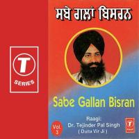 Sabe Gallan Bisran Dr. Tejinderpal Singh Song Download Mp3