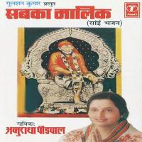Bisar Gaya Man Sab Mere Sai Anuradha Paudwal Song Download Mp3