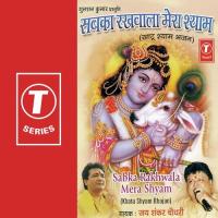 Sabka Rakhwala Mera Shyam songs mp3