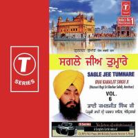 Sagle Jee Tumhare (Vol. 6) songs mp3