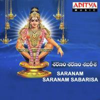 Saranam Saranam Sabarisa songs mp3