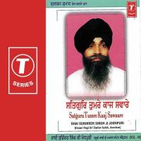 Satguru Tumre Kaaj Sawaare (Vol. 49) songs mp3