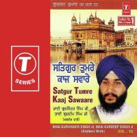 Satguru Tumre Kaaj Saware (Vol. 10) songs mp3