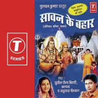 Sawan Ke Bahar songs mp3