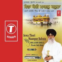 Sewa Thori Maangan Bahuta (Vol. 8) songs mp3