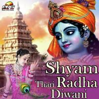 Shyam Thari Radha Diwani songs mp3