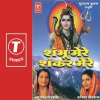 Tirathraj Prayagraj Hai Ye Anuradha Paudwal,Kavita Paudwal Song Download Mp3